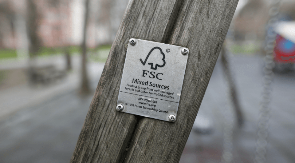 Was sind FSC-zertifizierte Hölzer?